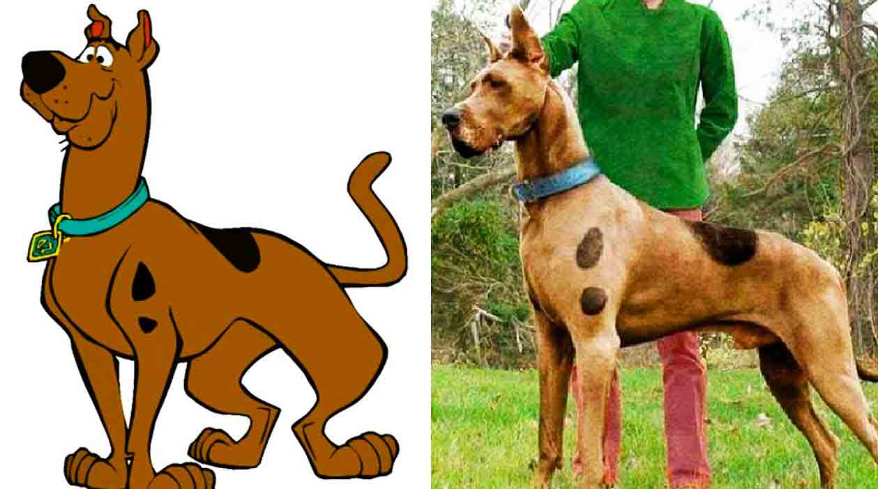 What dog is Scooby-Doo?