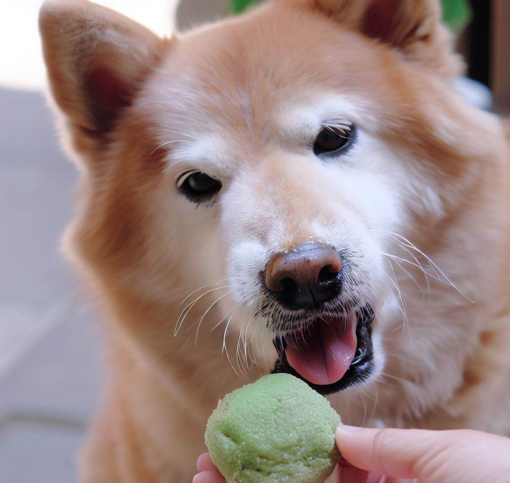 Can Dogs Eat Mochi Ice Cream