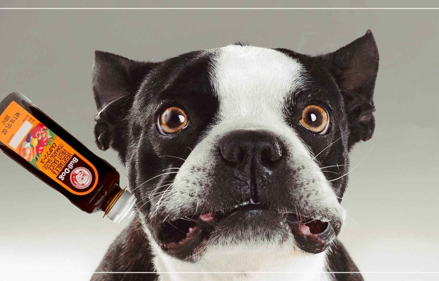 Can Dogs Eat Worcestershire Sauce? The Answer Might Surprise You!