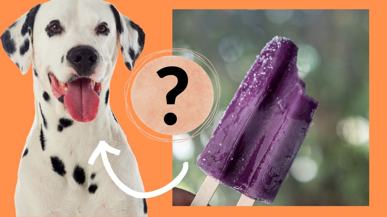 can dogs eat grape flavored popsicles