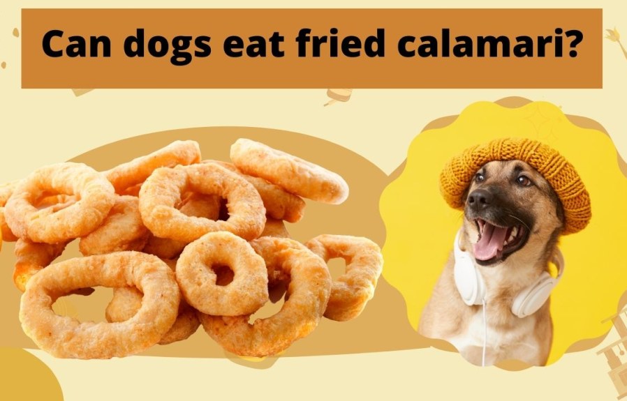 Can Dogs Eat Fried Calamari? Everything You Need to Know