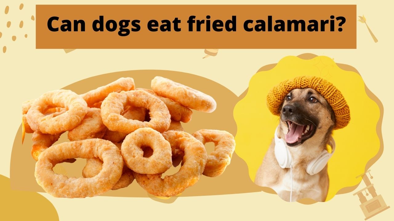 can dogs eat fried calamari