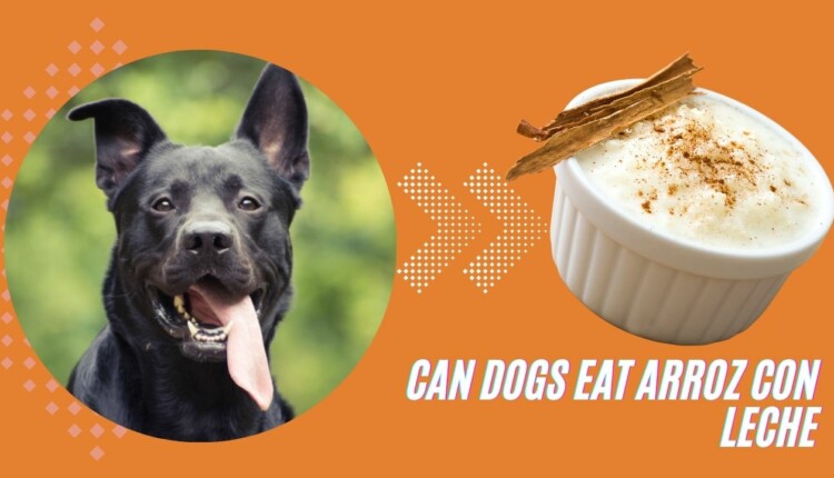 can dogs eat arroz con leche