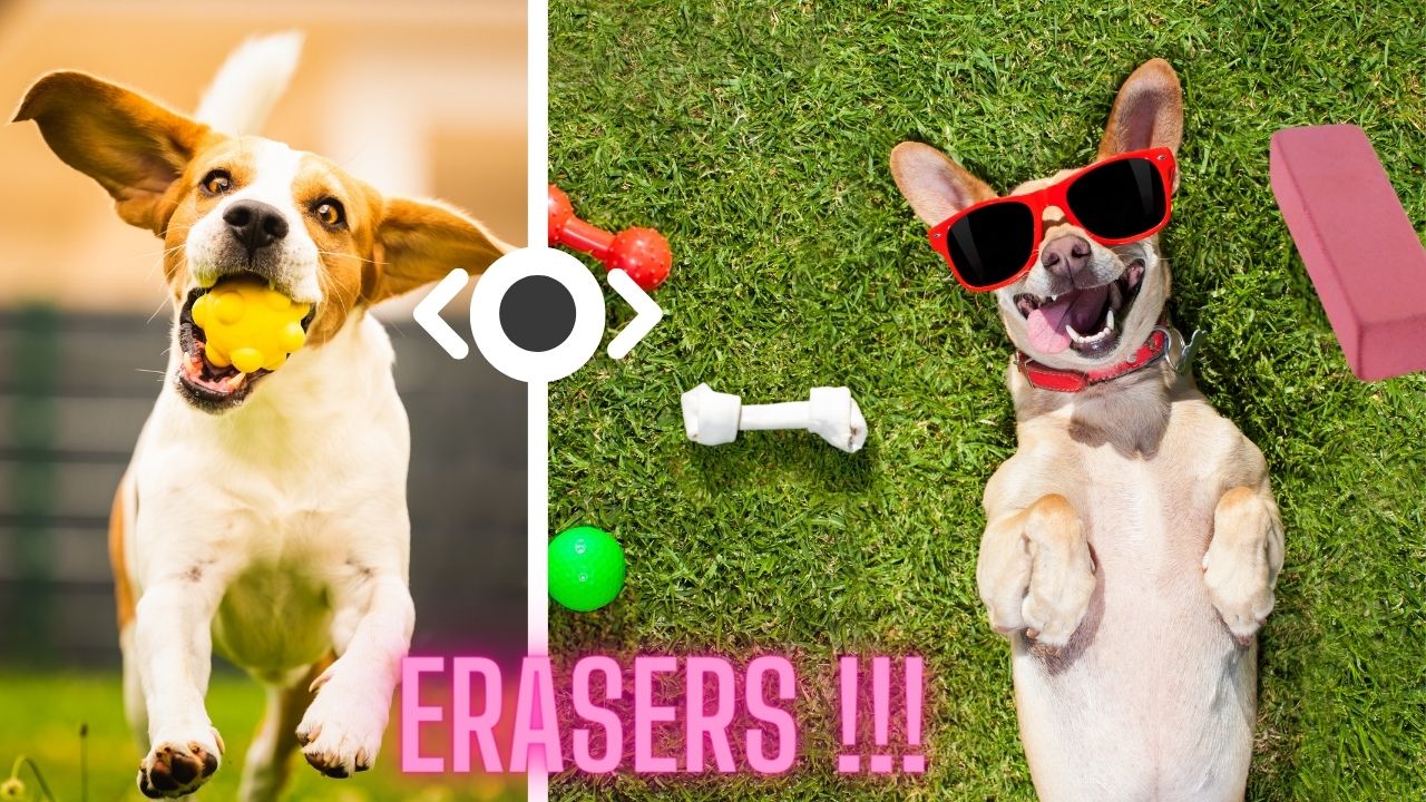 can dogs eat erasers