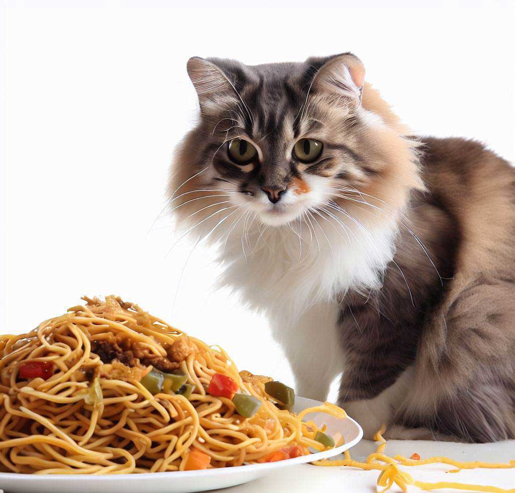 Can Cats Eat Chow Mein