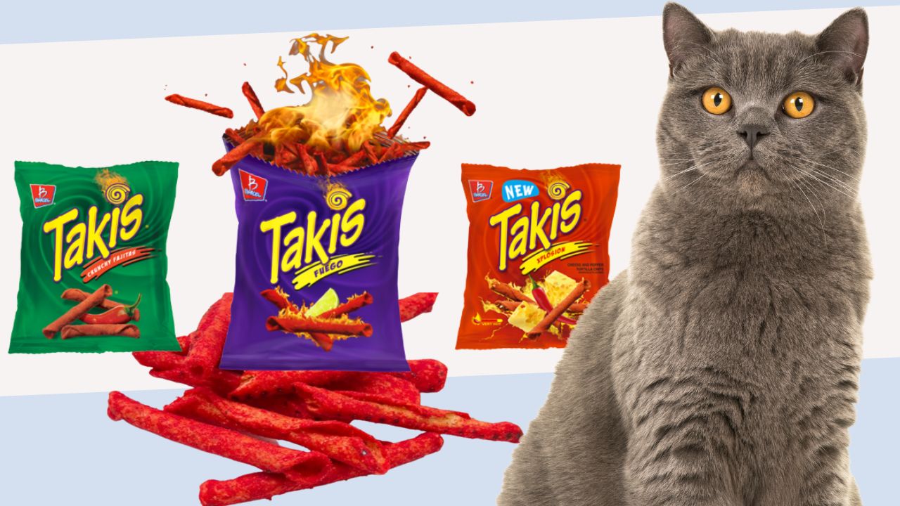 Are cats capable of eating takis