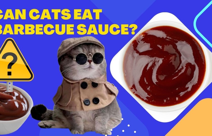Can Cats Eat Barbecue Sauce? Everything You Need to Know