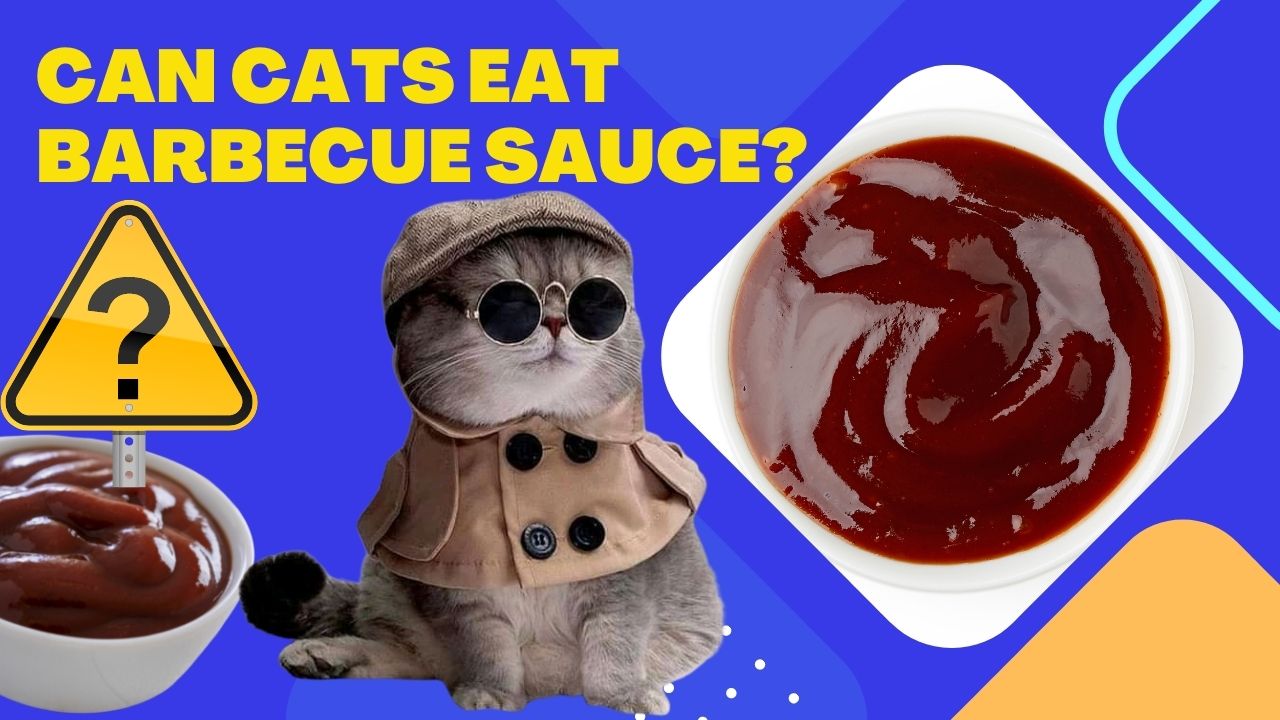 can cats eat barbecue sauce