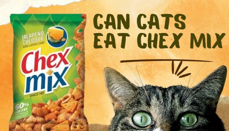 can cats eat chex mix