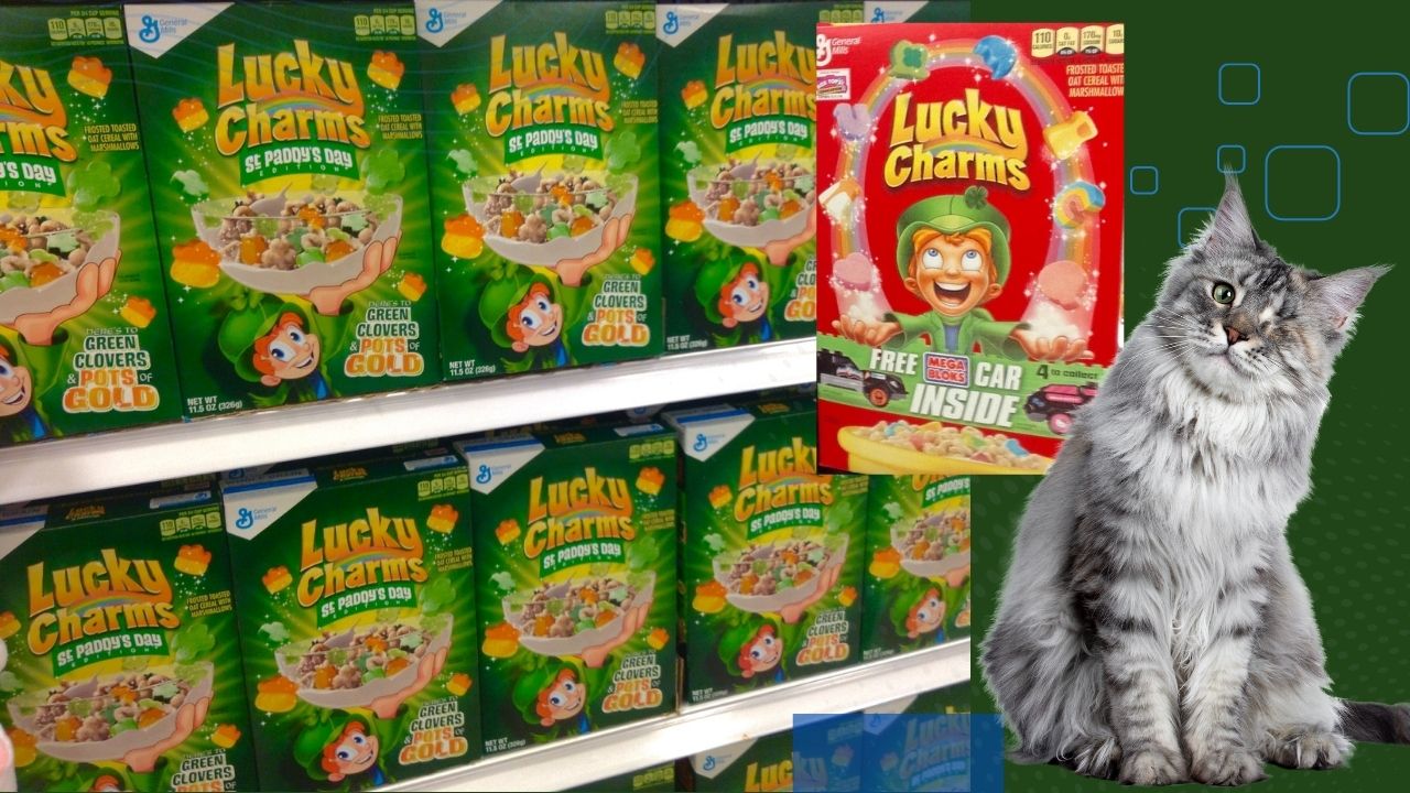 can cats eat lucky charms