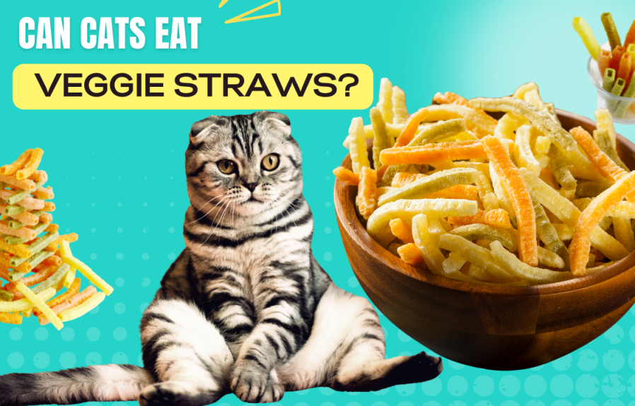 Can Cats Eat Veggie Straws? A Comprehensive Guide