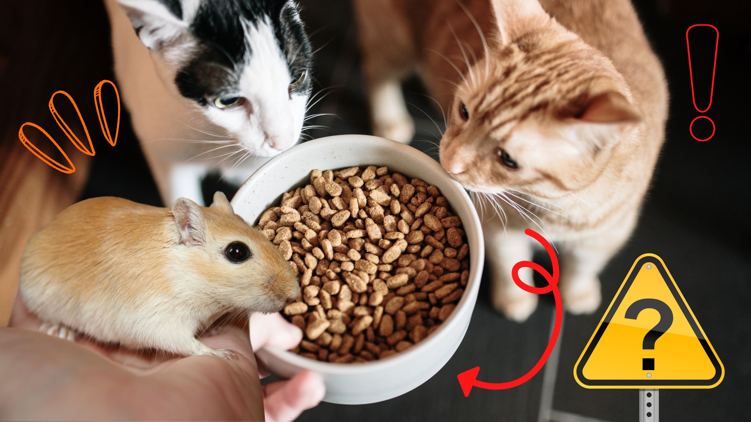 can gerbils eat cat food