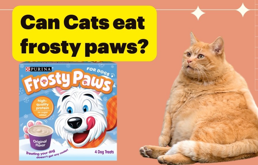 Can Cats Eat Frosty Paws? The Surprising Answer You Need to Know