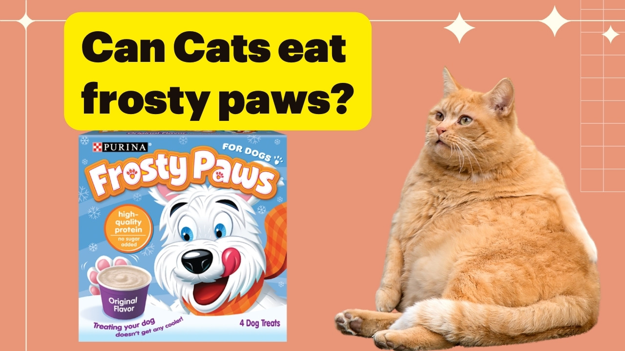 can cats eat frosty paws
