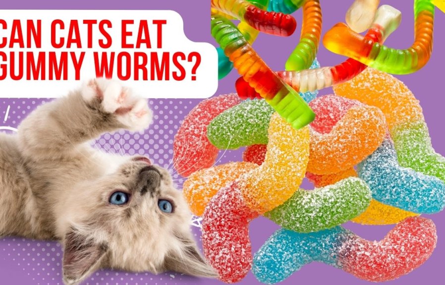 Can Cats Eat Gummy Worms? The Answer Might Surprise You!