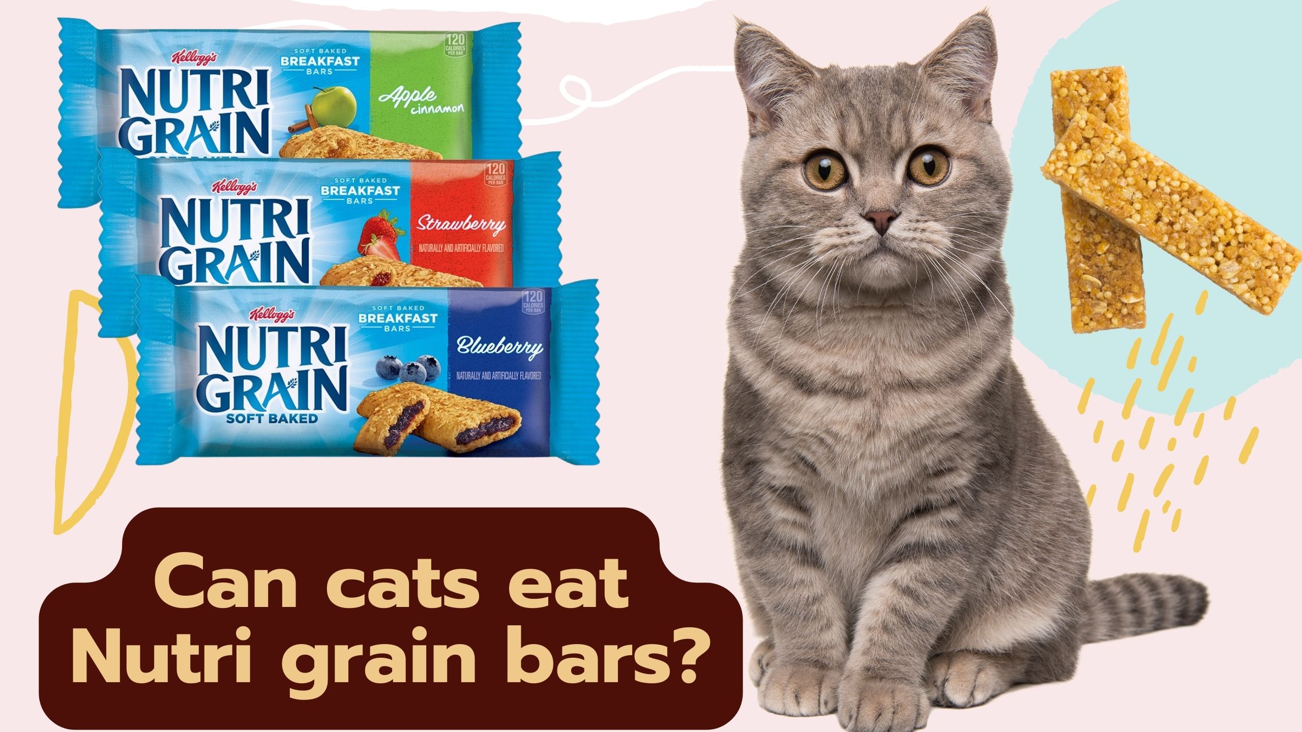 can cats eat nutri grain bars