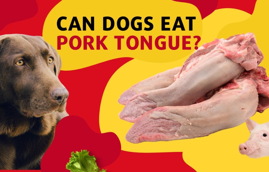 Can Dogs Eat Pork Tongue? The Answer Might Surprise You!