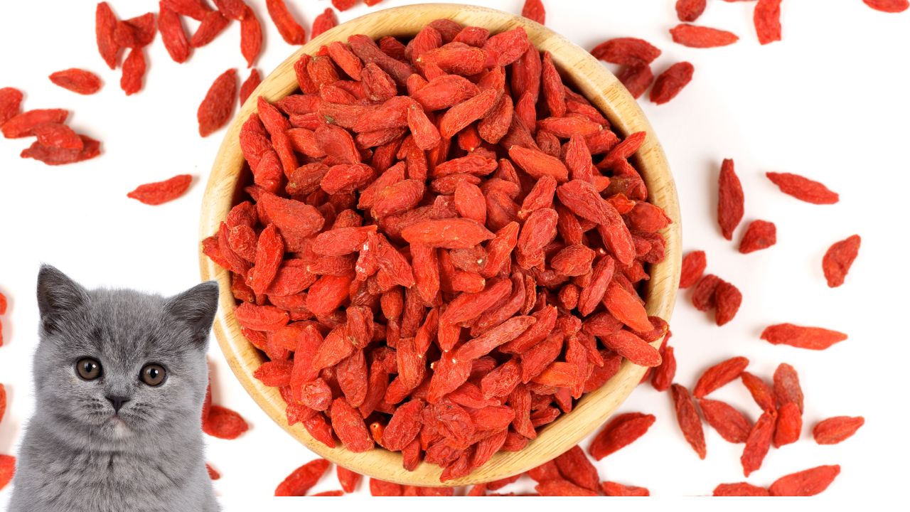  Goji Berries