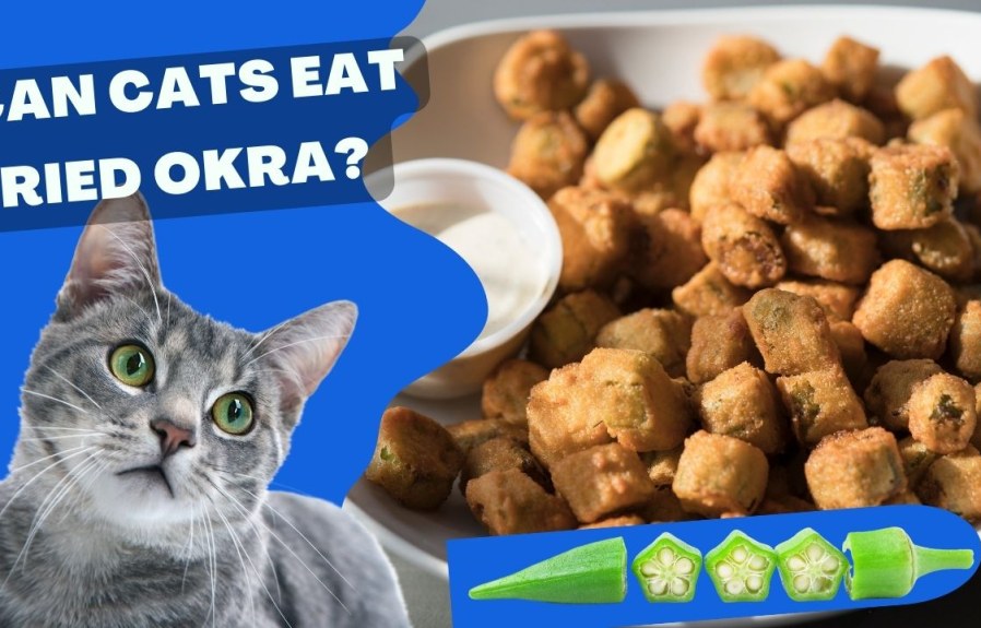 Can Cats Eat Fried Okra? Everything You Need to Know