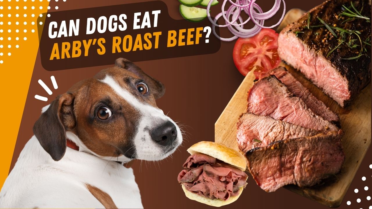 can dogs eat arby's roast beef